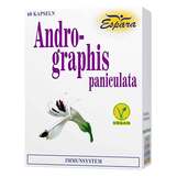 Produktbild Andrographis paniculata Kapseln