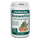 Produktbild Boswellia Carterii 400 mg Extrakt veget. Kapseln
