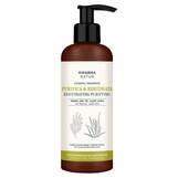 Produktbild Mifarma Natur reinigendes &amp; rehydrierendes Shampoo