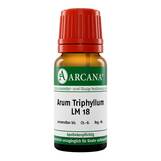Produktbild Arum triphyllum LM 18 Dilution