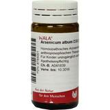 Abbildung: Arsenicum album D 30 Globuli Globuli, 20 g PZN 08784001