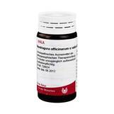 Produktbild Mandragora officinale e Radice D 4 G