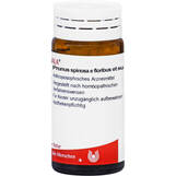 Produktbild Prunus Spinosa E FL. et SU.