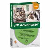 Produktbild Advantage® 40 mg f&uuml;r kleine Katzen und Zierkaninchen