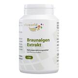 Produktbild Braunalgen Ektrakt 500 mg Kapseln