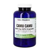 Produktbild Camu Camu 500 mg GPH Kapseln