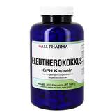 Produktbild Eleutherokokkus GPH Kapseln