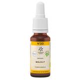 Produktbild Bachbl&uuml;te No.33 Walnut Bio