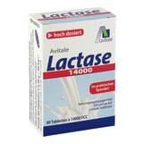 Produktbild Lactase 14000 FCC Tabletten im Spender