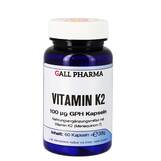 Produktbild Vitamin K2 100 ug GPH Kapseln