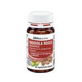 Produktbild Sovita active Rhodiola Rosea Vegi-Kapseln