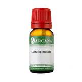 Produktbild Luffa operculata Arcana LM 3 Dilution