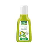 Produktbild Rausch Schweizer Kr&auml;uter Pflege Shampoo