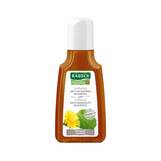 Produktbild Rausch Huflattich Anti Schuppen Shampoo