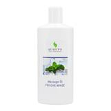 Produktbild Massage&ouml;l frische Minze