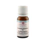 Produktbild Echinacea angustifolia D 4 Globuli