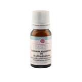 Produktbild Echinacea angustifolia D 6 Globuli