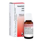 Produktbild Hypophysis Suis D 12 Globuli