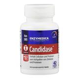 Produktbild Candidase Kapseln