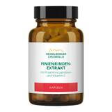 Produktbild Pinienrindenextrakt Kapseln