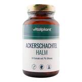 Produktbild Ackerschachtelhalm 500 mg Extrakt Vitalplant Kapseln 