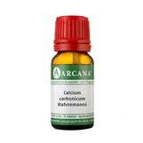 Produktbild Calcium carbonicum Hahnemanni LM 04 Dilution