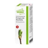 Abbildung: Gemmomazerat Betula pubescens Spray Spray, 30 ml PZN 13306143