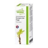 Abbildung: Gemmo Ficus carica Gemmomazerat Spray Spray, 30 ml PZN 13306172
