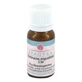 Produktbild Echinacea angustifolia C 30 Globuli