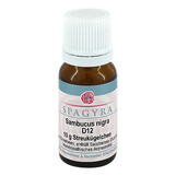 Produktbild Sambucus nigra D 12 Globuli