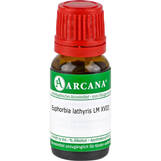 Produktbild Euphorbia Lathyris LM 18 Dilution