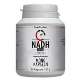 Produktbild Nadh 10 mg Coenzym 1 magensaftresistent Mono-Kapseln 