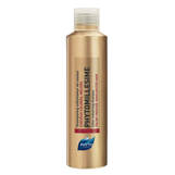 Produktbild Phytomillesime Shampoo