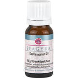 Produktbild Daphne Mezereum D 6 Globuli
