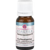 Produktbild Aesculus Hippocastanum D 6 Globuli
