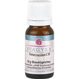 Produktbild Conium Maculatum C 30 Globuli