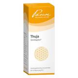 Produktbild Thuja Similiaplex Mischung