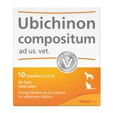 Produktbild Ubichinon compositum ad us. vet. Ampullen