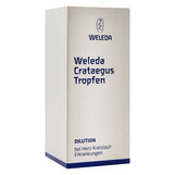 Abbildung: Crataegus Tropfen Mischung, 50 ml PZN 15432946