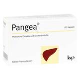 Produktbild Pangea Kapseln