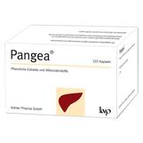 Produktbild Pangea Kapseln