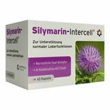 Produktbild Silymarin-Intercell Kapseln