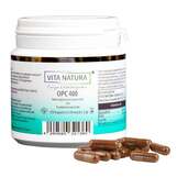 Produktbild OPC Traubenkernextrakt 400 mg Vegi- Kapseln