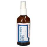 Produktbild Desinfektionsspray GPH