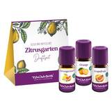 Abbildung: Zitrusgarten Bio Duftset 3X5 ml PZN 16660081
