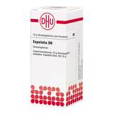 Produktbild Espeletia D 6 Globuli