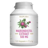 Produktbild Mariendistel Extrakt 500 mg Mono Kapseln