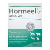 Produktbild Hormeel LT ad us.vet.Ampullen