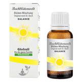 Produktbild Bachbl&uuml;ten Globuli f&uuml;r den Tag Bachbl&uuml;tenwelt