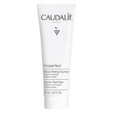 Abbildung: Caudalie Vinoperfect Peeling-Maske mit Glykolsäure Gesichtsmaske, 75 ml PZN 17212114